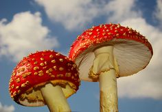 two red mushrooms with gold studded caps against a blue sky