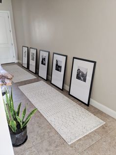 three black and white framed pictures sitting on the floor next to a potted plant