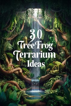 an image of a waterfall surrounded by trees with the words 30 tree frog terrarium ideas