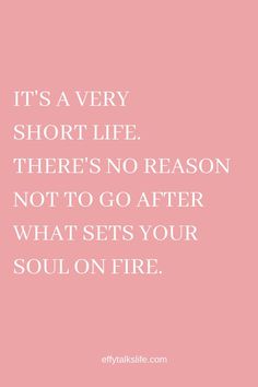 a quote that says it's very short life there's no reason not to go after what sets your soul on fire