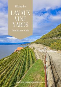 Hiking with kids: through the Lavaux vineyards from Rivaz to Cully - Our Swiss experience Lavaux Vineyards, Train Route, Hiking Routes, Lake Geneva, Winter Hiking