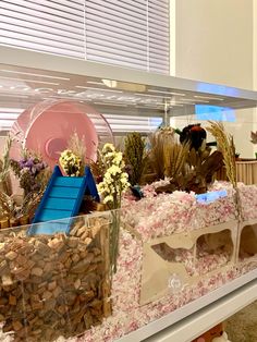 a display case filled with lots of plants and rocks next to a window sill