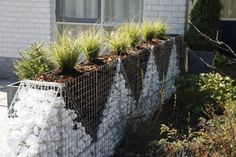 a fence made out of rocks and wire with plants growing on it in front of a house