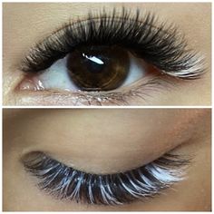 Eyelash Decor, Lash Extension Training, Lash Mapping, Neutral Eye Makeup