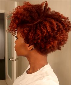 5 Hair Color Trends to Try on Your Natural Hair - Cabello Afro Natural, Tapered Natural Hair, Twisted Hair, Natural Hair Cuts, Natural Hair Short Cuts, Dyed Natural Hair, Beautiful Natural Hair, 4c Hair