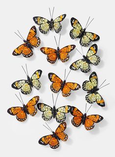 a group of orange and black butterflies on a white surface with one butterfly facing the camera