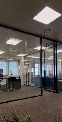 an office with glass walls and plants in the foreground