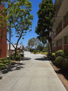 an empty sidewalk between two buildings with trees on both sides and bushes to the side