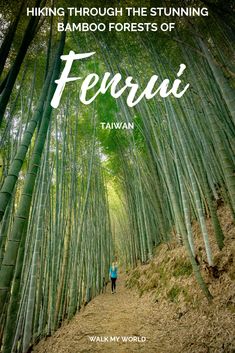 a person walking through a bamboo forest with the words,'hiking through the stunning bamboo forests