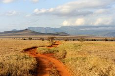 a dirt road in the middle of an open field with mountains in the background and clouds in the sky