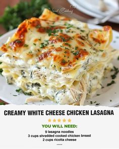 a white plate topped with lasagna covered in cheese