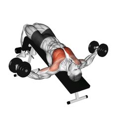 Decline Dumbbell Fly Lower Chest Exercises, Incline Push Ups, Decline Press, Gym Content, Isolation Exercises, Dumbbell Fly, Chest Exercises, Chest Fly, Pectoral Muscles