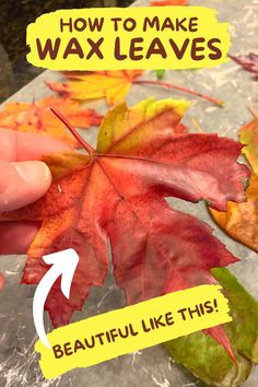 how to make wax leaves with the words beautiful like this in yellow and red colors