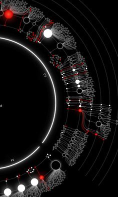 an image of a black circle with white circles and red dots on the center, all connected to each other