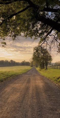 an empty dirt road in the middle of a field