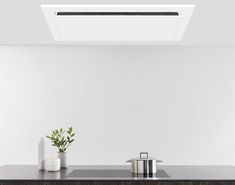 a kitchen counter with a potted plant on it and a white wall in the background