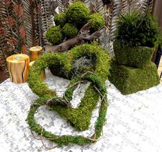 moss covered planters sitting on top of a table