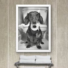 a black and white photo of a dog with a toilet paper in it's mouth