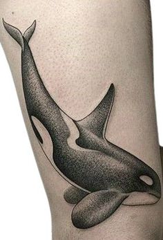 an orca whale tattoo on the right thigh is shown in black and grey ink