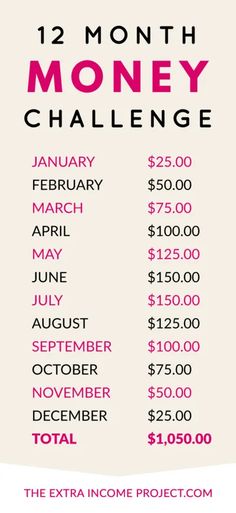 the 12 month money challenge is shown in pink and white, with words below it