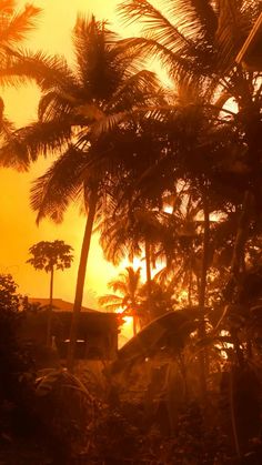 Aesthetic Golden Hour Wallpaper, Pretty Sun Pictures, Golden Hour Summer Aesthetic, Golden Orange Aesthetic, Golden Hour Landscape Photography, La Sunset Aesthetic, Warm Nature Aesthetic, Nature Golden Hour, Warm Sunset Aesthetic