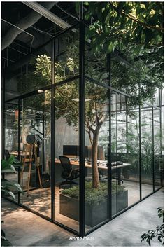 an office with glass walls and trees in the center, surrounded by potted plants