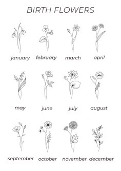 the birth flowers calendar is shown in black and white