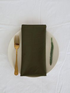 a white plate topped with a green napkin next to a fork