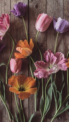 colorful tulips are arranged on a wooden surface