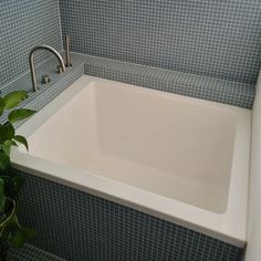 a white bath tub sitting next to a green plant