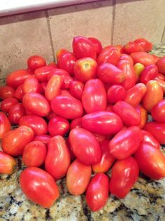 a pile of tomatoes sitting on top of a counter