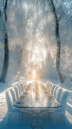 a long table is covered with snow in the middle of a snowy forest, surrounded by benches and trees