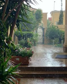 an open umbrella sitting on top of a rain soaked walkway next to potted plants