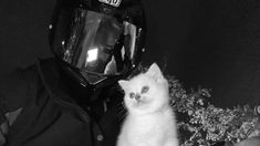 a white cat sitting next to a person wearing a motorcycle helmet