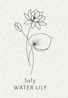 a drawing of a flower with the words july water lily on it's side