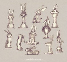 an image of rabbits in various poses