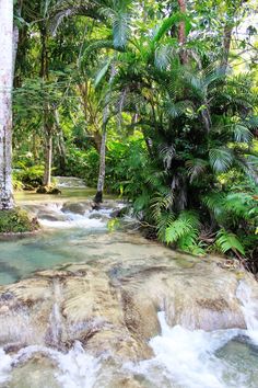 a stream in the jungle with text overlay that reads 8 unique experiences only in jamaica