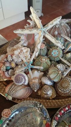 there are many seashells and starfish on the tray together in this room