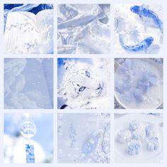 several pictures of white and blue snowflakes, with one cat in the middle