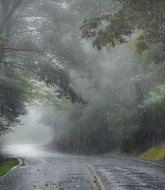 an empty road in the rain with lots of trees