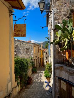 an alley way with potted plants on either side and a sign hanging from the building