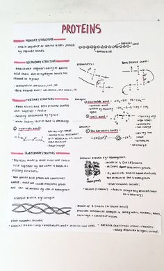 a piece of paper with some writing on it that says, proteins and other things