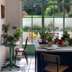 a kitchen with green windows and plants on the counter