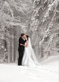 a bride and groom are standing in the snow near some trees with their wedding veil blowing in the wind