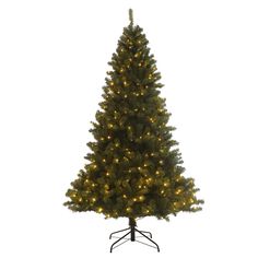 a large christmas tree with lights on it's base and stand in front of a white background