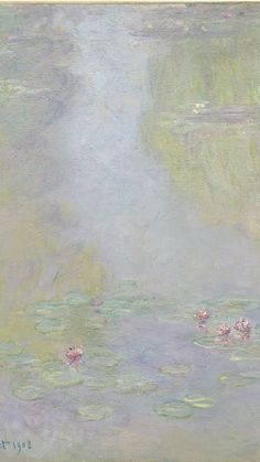 water lilies on the surface of a body of water