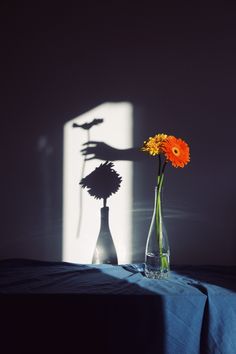 two vases with flowers on a table in front of the shadow of a person's hand