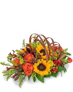 Creative Cornucopia - Village Floral Designs and Gifts Fall Flower Centerpieces, Hypericum Berry, Get Well Flowers, Thanksgiving Tablescape