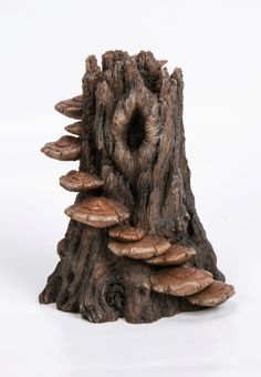 a tree stump with mushrooms growing out of it's center and in the middle