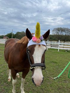 a brown and white horse wearing a knitted hat with flowers on it's head